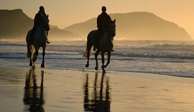 Horse Riding